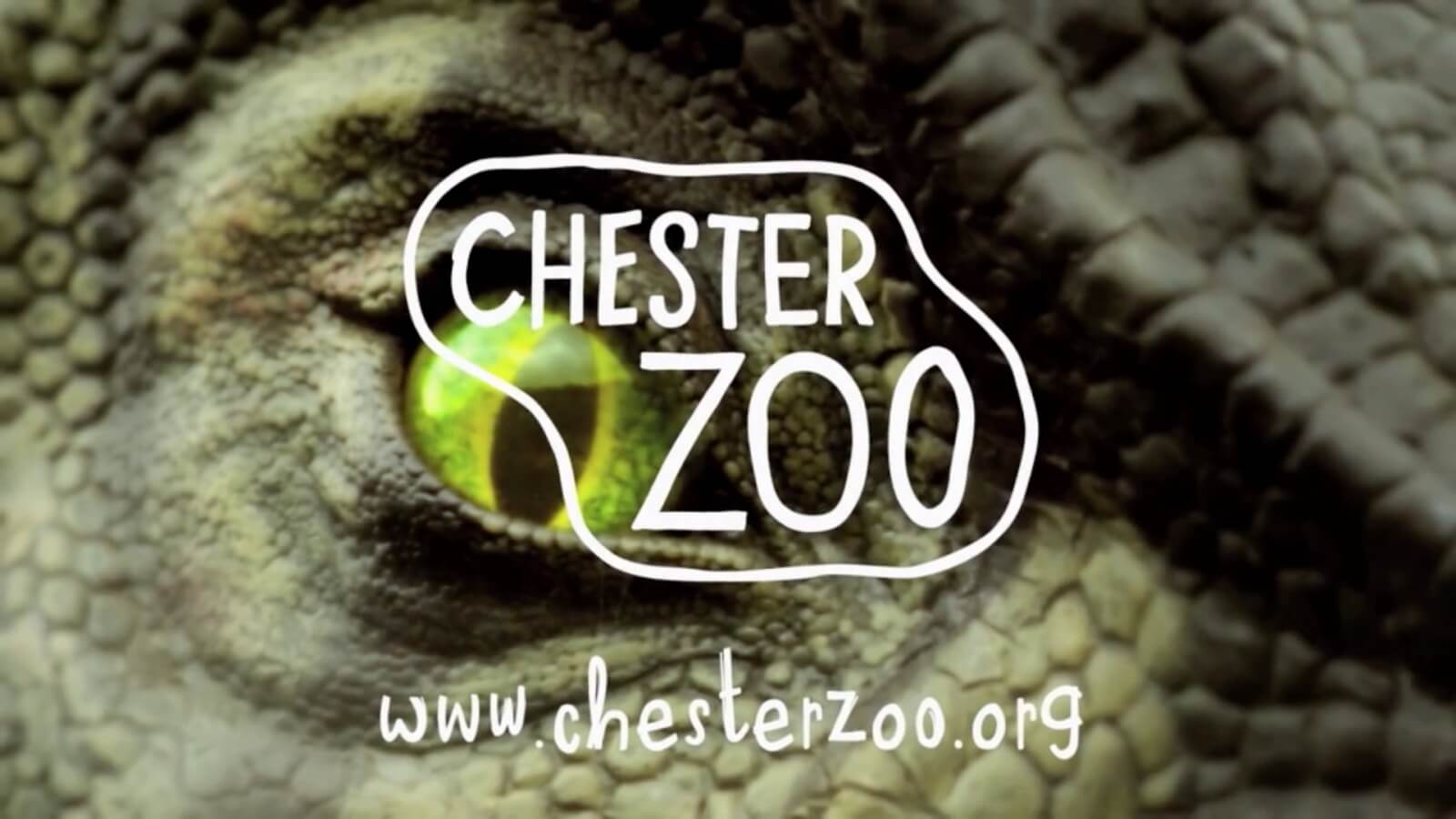 Chester Zoo