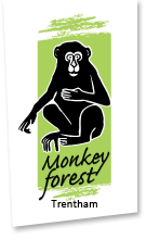 Monkey Forest